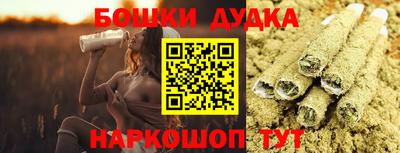 индика Будённовск