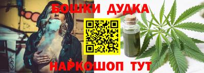 индика Будённовск