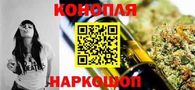индика Будённовск